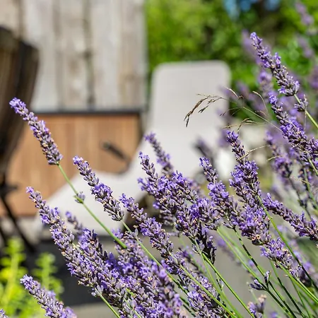 Gruene Duene * Wustrow (Fischland)